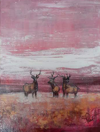 cerfs