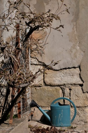 Pinède et alentours L'Arrosoir près de la Pinède.. 2