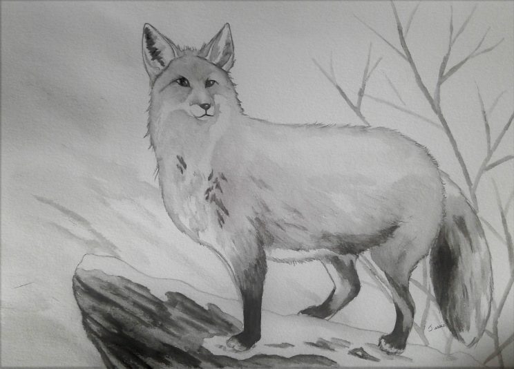 Renard en hivers, crayons graphites aquarellables sur papier, 10,25''x 14,25'', Aout 2018. no 09-003