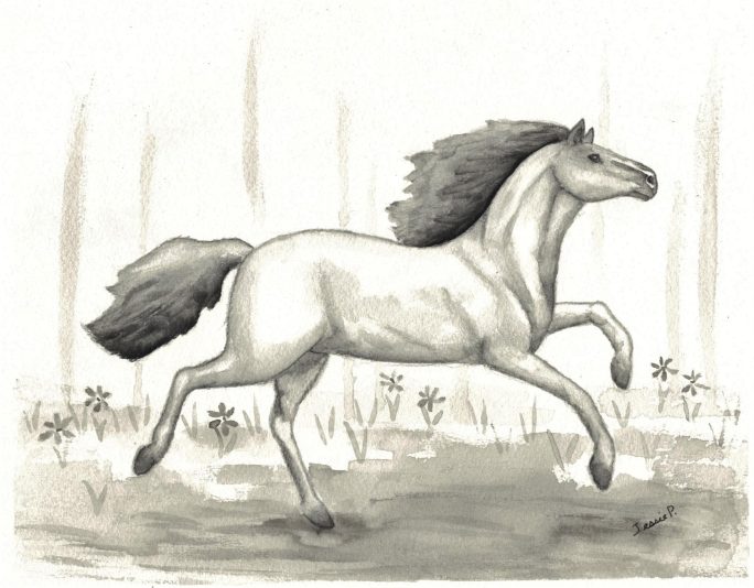 Cheval qui court, crayons graphites aquarellables sur papier, 8''x 10'', Juin 2019. no 09-006