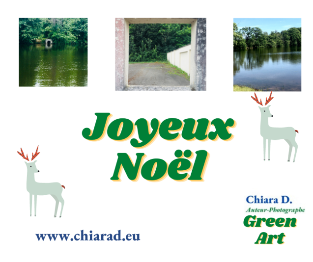 Joyeux Noël FB