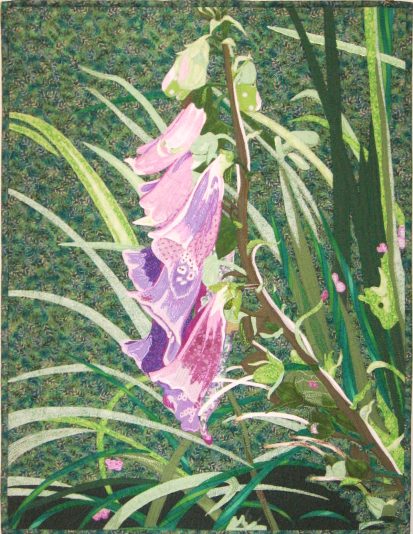 digitalis-purpurea-christinegrenier