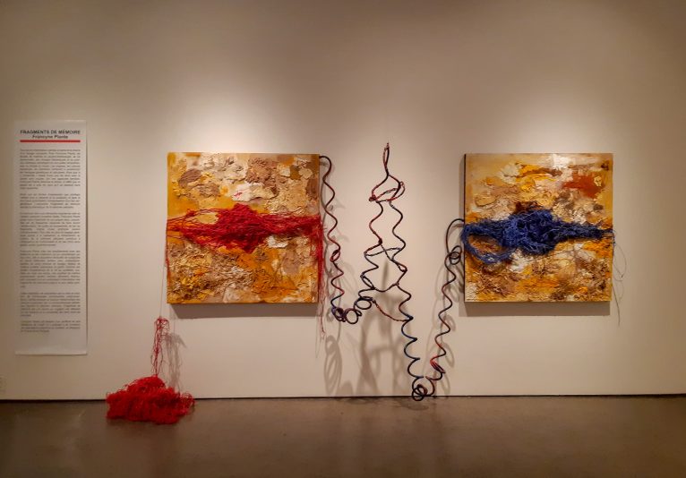 fragments de mémoire-installation-francyne-plante-artiste-CEVD (10)
