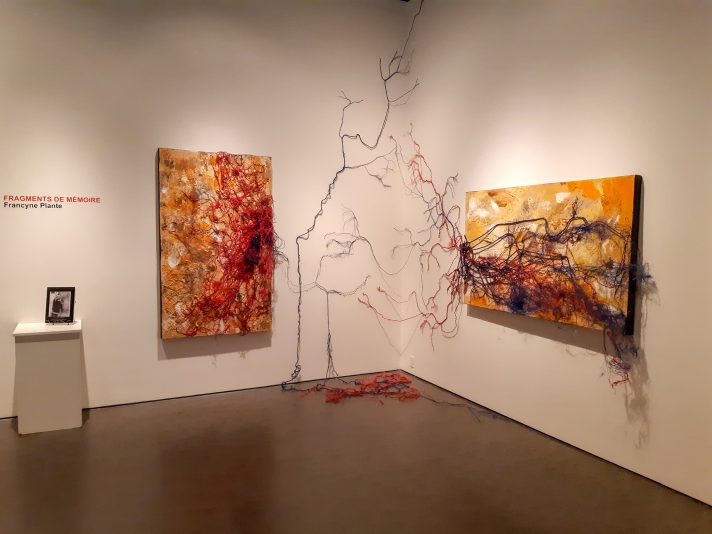 fragments de mémoire-installation-francyne-plante-artiste-CEVD (2)