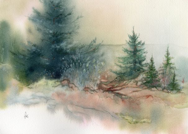 14. Dans le sentier des graminés