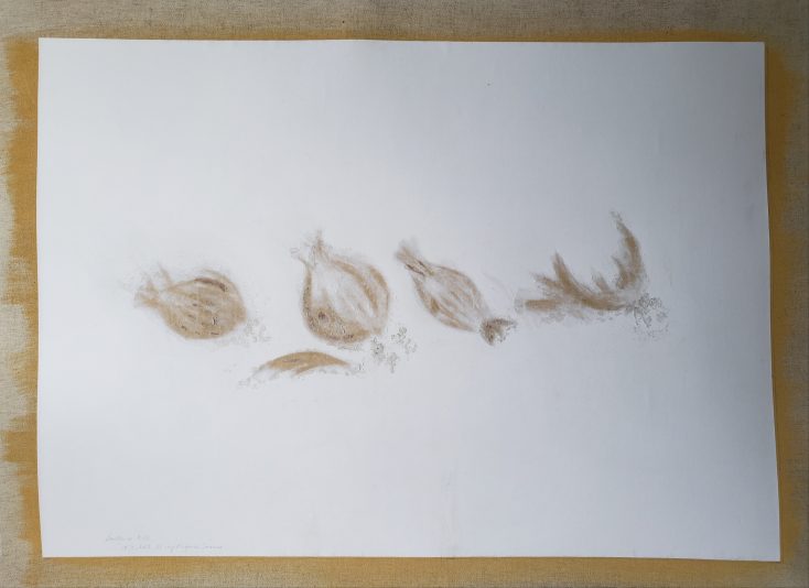 Lawrence - NM En rang ! - 08 X 2021 - papiers abrasés - 58,5 x 79,2 cm