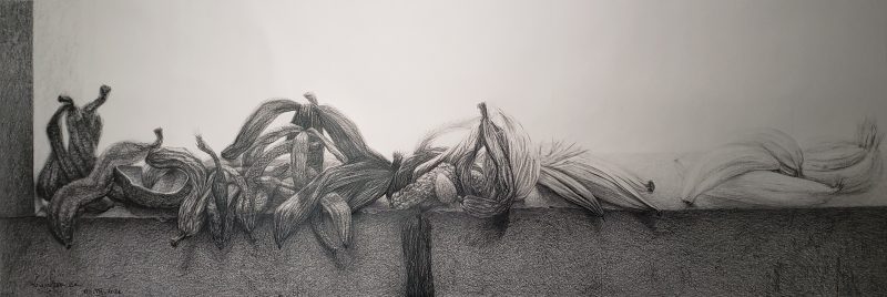Lawrence - NM Gisant de peaux de bananes - 2021 - mine graphite sur papier Canson - 68 x 197 cm