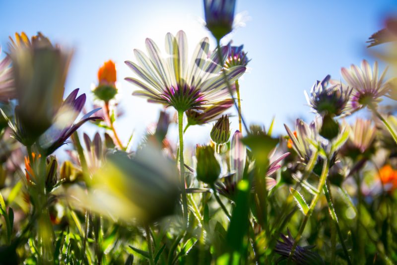 gaston-roulstone-NDMyliZWcO4-unsplash