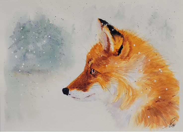 fox