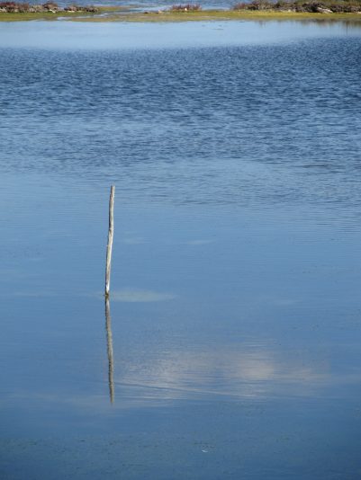 IMG_2630