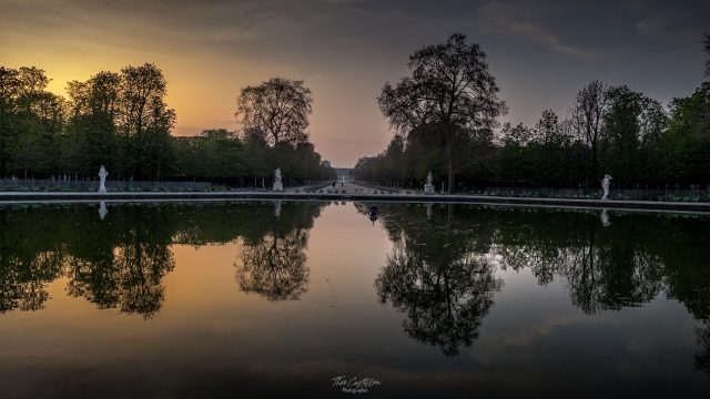 Crépuscule aux Tuileries