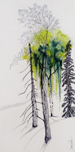 Refuge de l'appel fortuit 12 x24