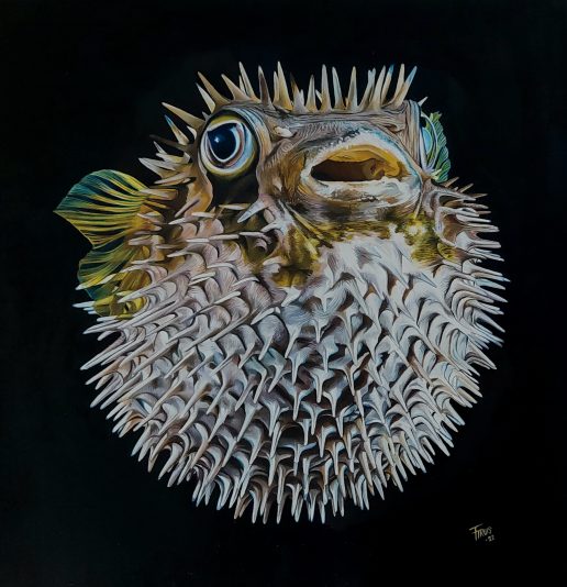 FlorenceTrus.Puffer Fish.40X40cm. 2022.