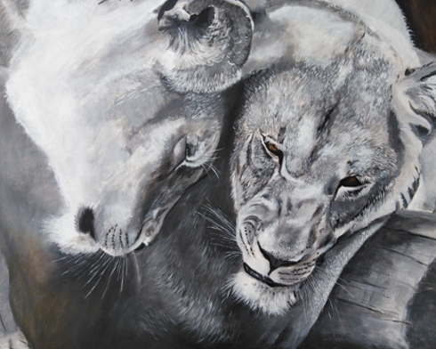 lion