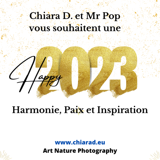 Bon 2023