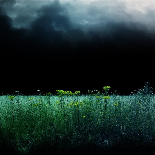 Green  Field