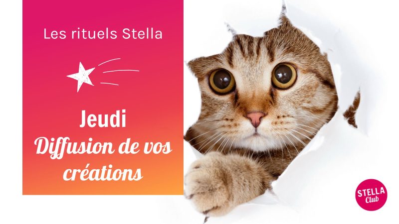Jeudi Diffusion de vos créations