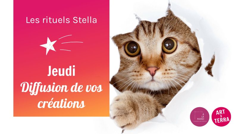 Jeudi Diffusion de vos créations