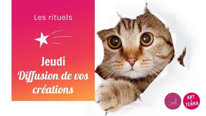 Jeudi Diffusion de vos créations