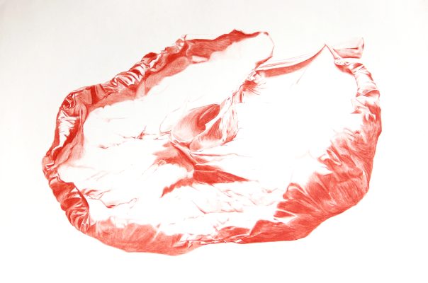 Ravine, crayon de couleur sur papier cartonné, 52,8 × 79,2 cm, 2023, Alison Vignault