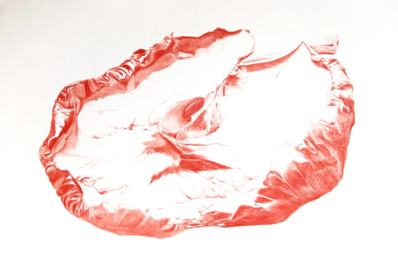 Ravine, crayon de couleur sur papier cartonné, 52,8 × 79,2 cm, 2023, Alison Vignault