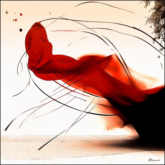 manorack_Flamenco#2