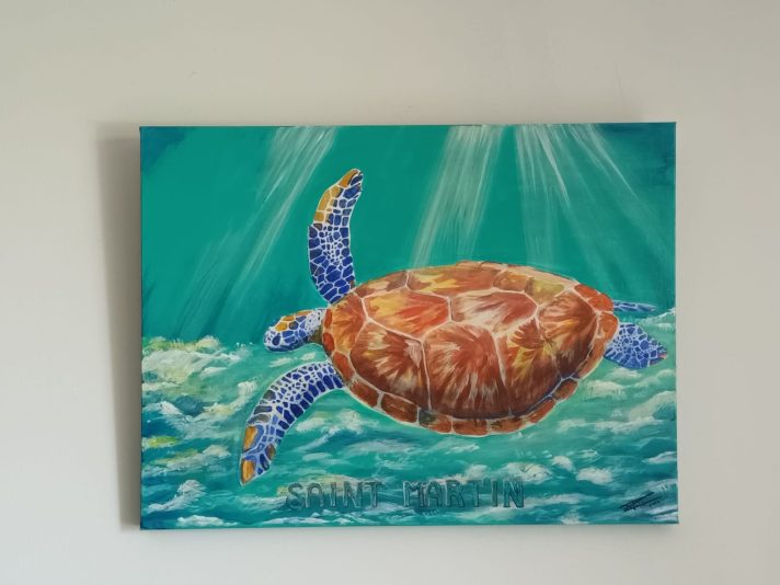 La tortue de Saint Martin