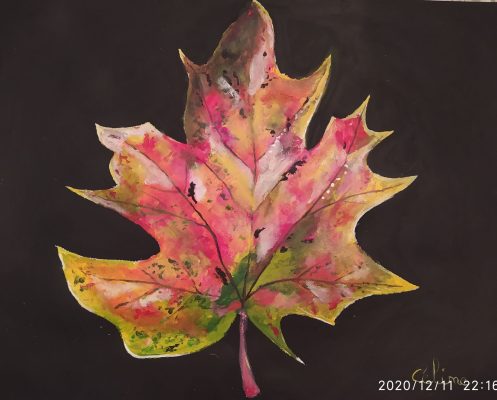 feuille