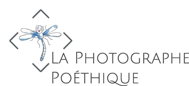 Logo réduit et compressé