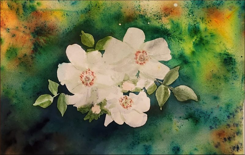 Mine-aka-brusho-white-flowers2
