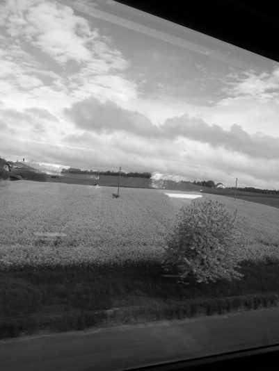 20140419_093755_Tom