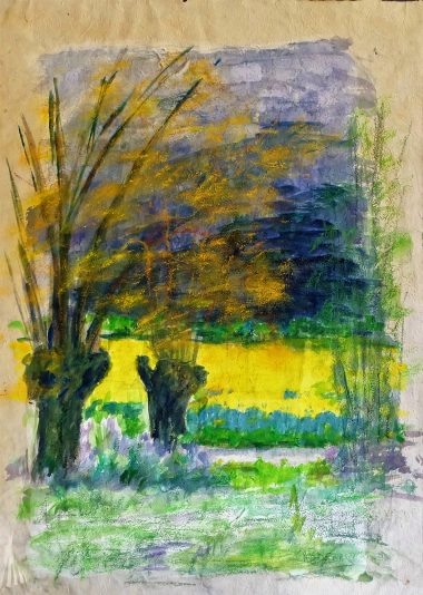 les tetards 1