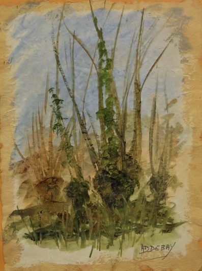 les tetards 3