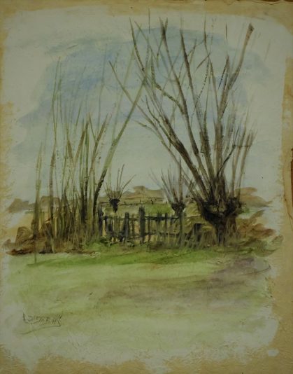 les tetards 4