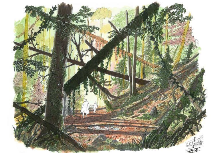 scan promenade en forêt (traité)