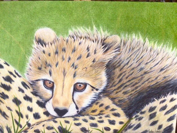Guépard