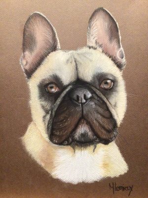 Bouledogue