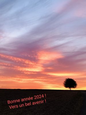 IMG_20231016_184436~2