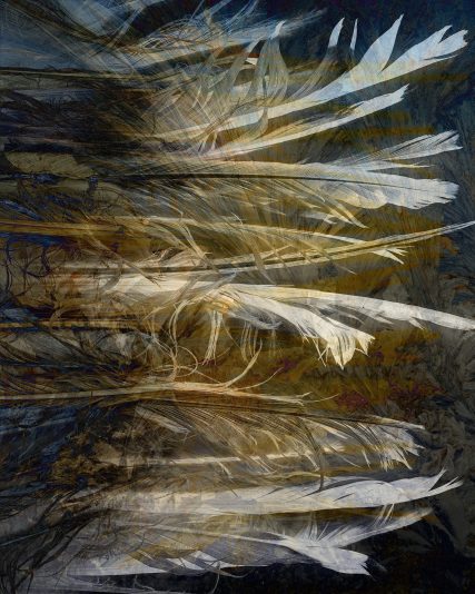 Grand_Esprit_32x40