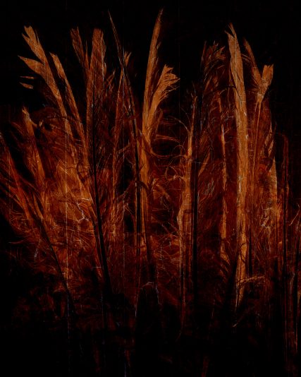 We_are_burning_32x40