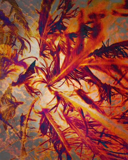 La_danse_du_soleil_2022_32X40