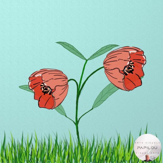 Dessin_137_20240516_Fleurs_de_mai