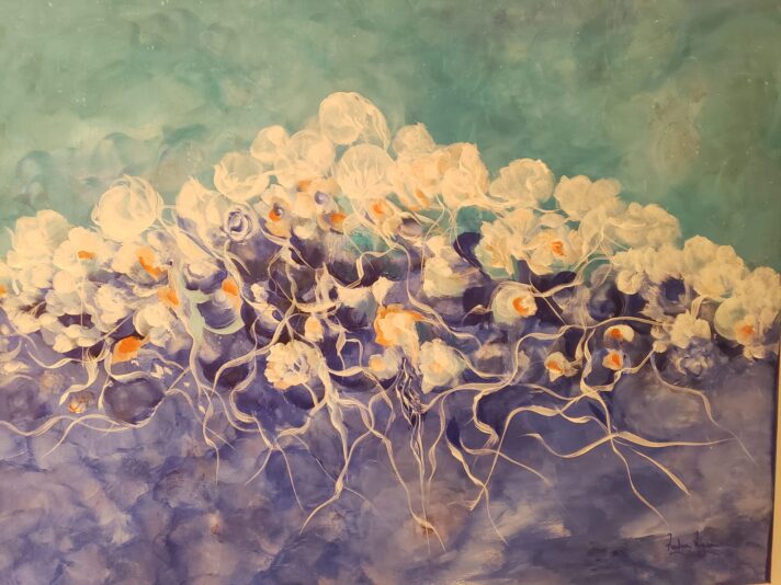 meduze1