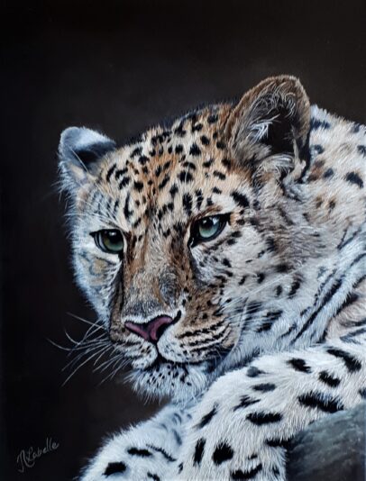 Labelle_Nathalie-Cheetah