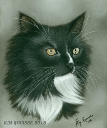Chat 2