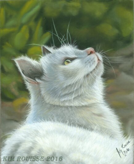 Chat