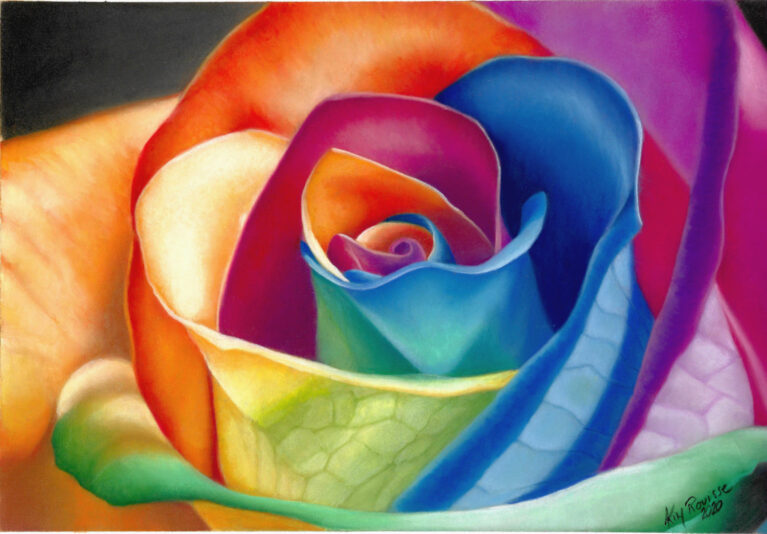 Rose