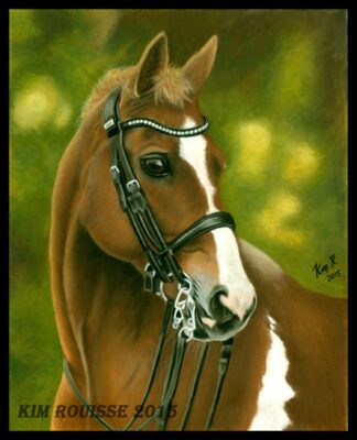Cheval