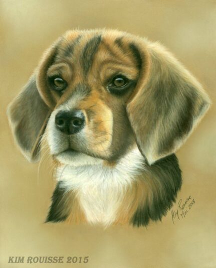 Chien