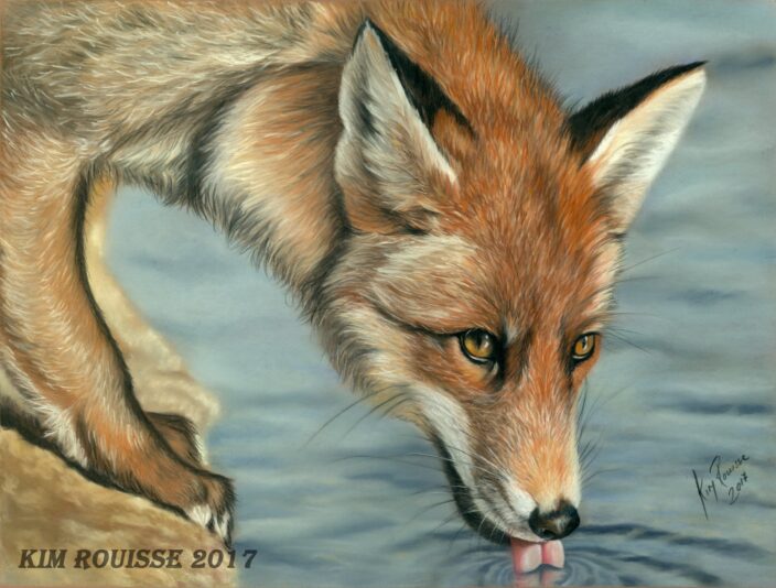 Renard